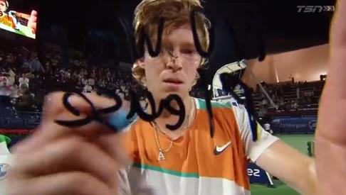 败莱巴金娜 败莱巴金娜