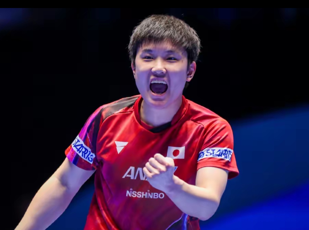 是一个数字 是一个数字