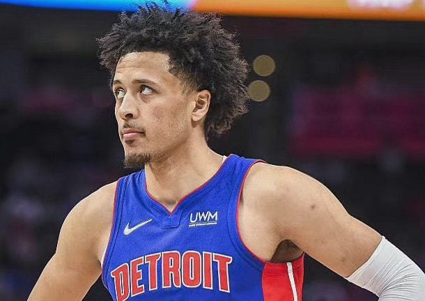 稳定的盈利 稳定的盈利