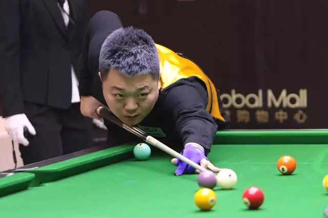 组委会专业 组委会专业